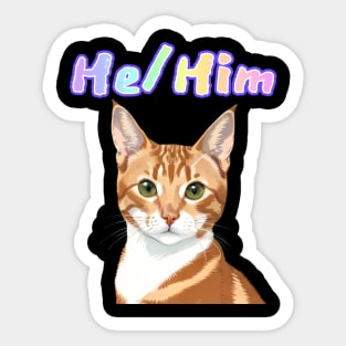 Crookie - He/Him Rainbow Text Green Sticker